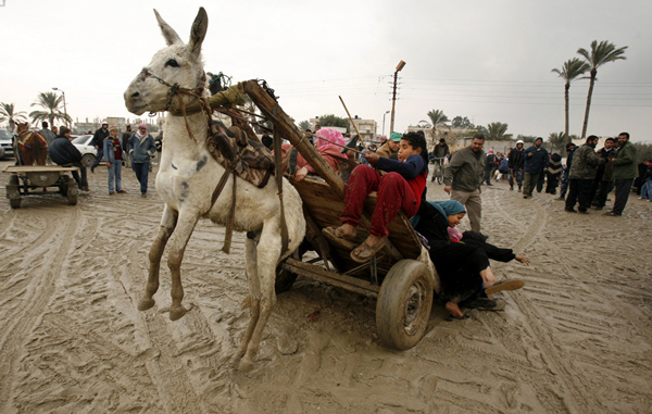 A Palestinian family falls from a donkey cart after they crossed a breach on the border wall between the Gaza Strip and Egypt January 27, 2008. Israeli Prime Minister Ehud Olmert and Palestinian President Mahmoud Abbas will hold crisis talks on Sunday on how to limit Hamas control over Gaza's breached border with Egypt. (REUTERS)