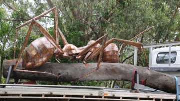 Photo: ${params.title}