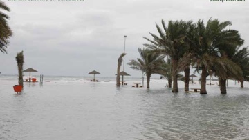 Photo: ${params.title}