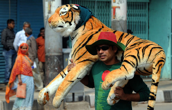 A Bangladesh fan arrives for the first match of ICC Cricket World Cup match between India and Bangladesh at The Sher-e-Bangla National Stadium in Dhaka. (AFP)