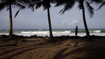 Photo: ${params.title}