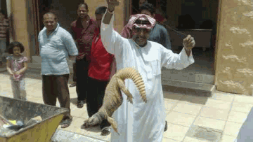 Photo: ${params.title}