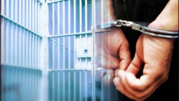 Photo: ${params.title}