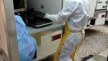 Photo: ${params.title}