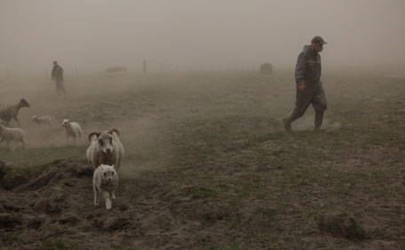 Sheep farmers try to round up a flock as they walk through a cloud of ash pouring out of the erupting Grimsvoetn volcano in Mulakot on May 22, 2011. Ash deposits were sprinkled over the capital Reykjavik, some 400 kilometres to the west of the volcano, which has spewed an ash cloud about 20 kilometres into the sky. Less than 24 hours after the eruption began late Saturday, experts and authorities in Iceland said the volcanic activity had begun to decline.  (AFP)