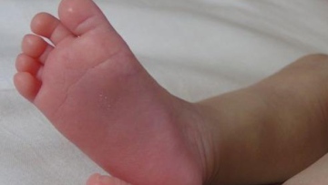 Photo: ${params.title}