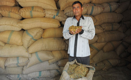 Bhikhabahi Patel, a farmer and President of the Kheda District Kisan Congress, displays processed tobacco at his storage facility at Rampura village, some 65 kms from Ahmedabad, on May 30, 2011, on the eve of World No Tobacco Day. Tobacco farmers are heavily taxed by the state government of Gujarat. The state recently launched Tobacco Free Gujarat campaign is likely to increase difficulties for farmers as they are driven to plant alternative crops on their land. (AFP)