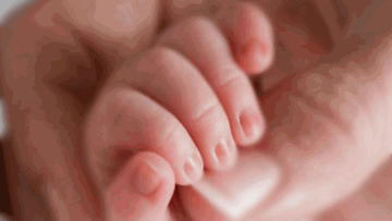 Photo: ${params.title}