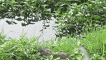 Photo: ${params.title}