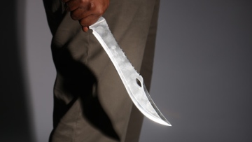 Photo: ${params.title}