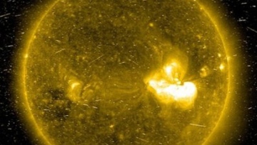 Photo: ${params.title}