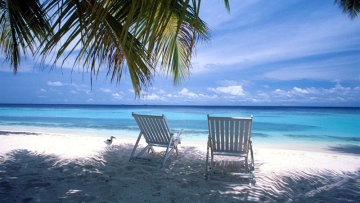 Photo: ${params.title}