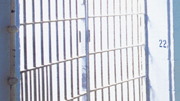 Photo: ${params.title}