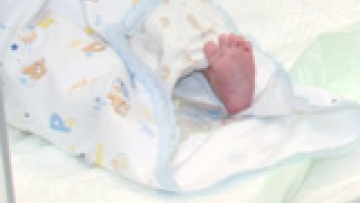 Photo: ${params.title}