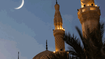 Photo: ${params.title}