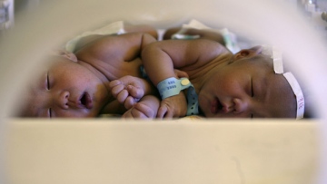 Photo: ${params.title}