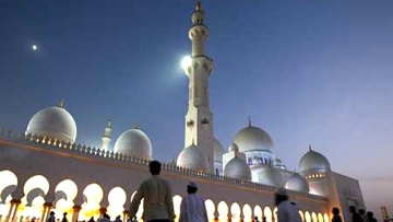 Photo: ${params.title}