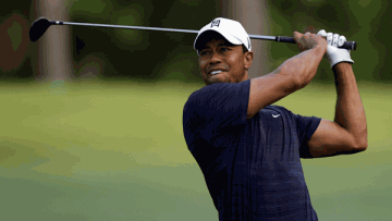 Photo: ${params.title}