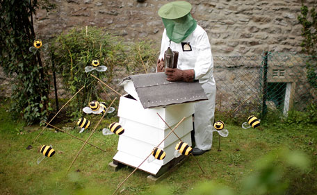 A scarecrow dressed as a bee-keeper stands beside a hive and bees as part of the annual scarecrow festival on August 13, 2011 in Kettlewell, England. During the two week festival the rural Yorkshire Dales village comes to life with both traditional scarecrows and more modern takes, including parodies of current affairs and celebrities. (GETTY)