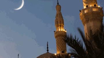 Photo: ${params.title}