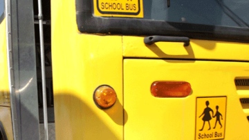 Photo: ${params.title}