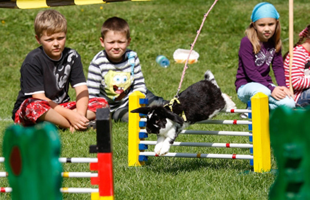 Children watch a rabbit jump over a hurdle at an obstacle course. (GETTY/GALLO)