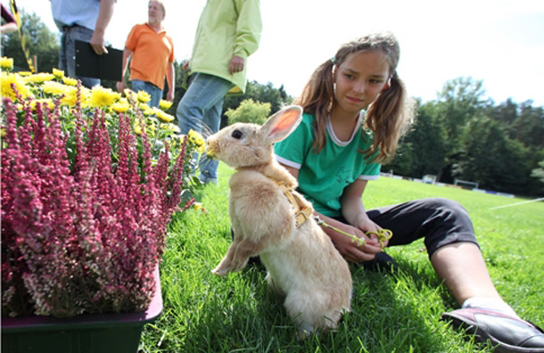 Melissa Baier, who has been participating in Kanin Hop competitions for the last three years, pauses with her pet rabbit. (GETTY/GALLO)