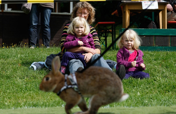Visitors of the 5th Open Rabbit Sport Tournament watch a rabbit during the light weight competition. (GETTY/GALLO)