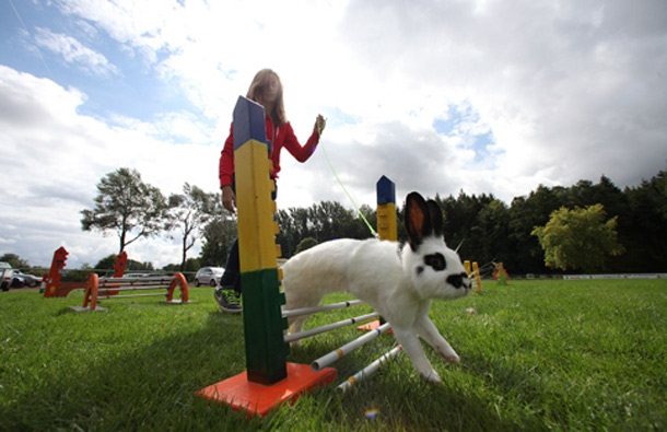 A participant and her pet rabbit practice on the training ground. (GETTY/GALLO)