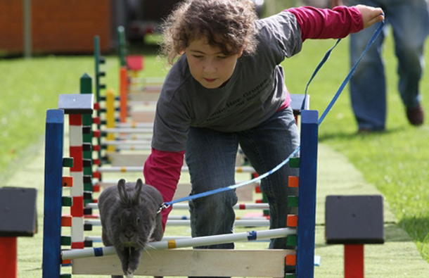 Lisa Marie Bach leads her pet rabbit Marie through an obstacle course in the middle-weight category. Rabbit Hopping is a growing trend among pet rabbit owners in Central Europe and the first European Championships are scheduled to be held later this year in Switzerland. (GETTY/GALLO)