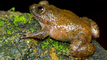 Photo: ${params.title}