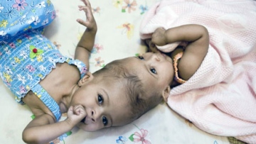 Photo: ${params.title}