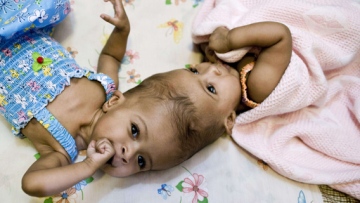 Photo: ${params.title}