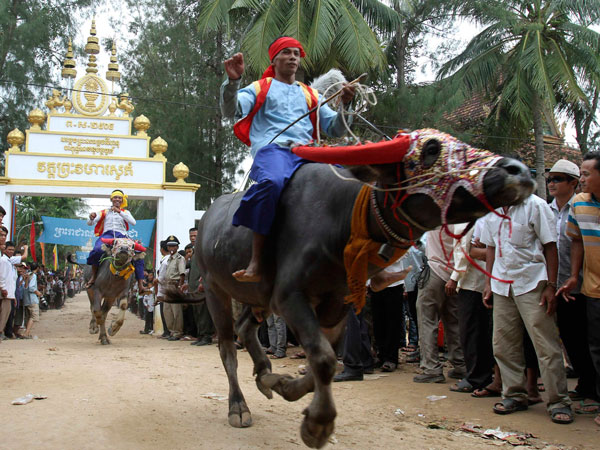 Men ride buffaloes during an annual buffalo-racing ceremony at Virhear Sour village in Kandal province, 30 km (18 miles) southeast of Phnom Penh September 27, 2011. (REUTERS)