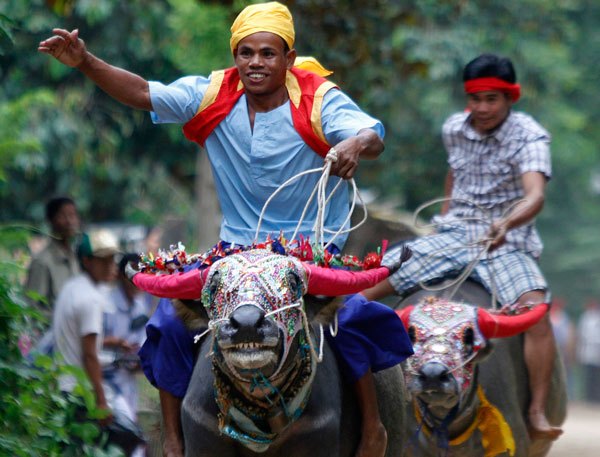 Men ride buffaloes during an annual buffalo-racing ceremony at Virhear Sour village in Kandal province, 30 km (18 miles) southeast of Phnom Penh September 27, 2011. After the ceremony, the buffaloes are sold to the highest bidder. (REUTERS)
