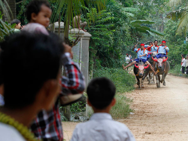 Annual buffalo-racing ceremony at Virhear Sour village in Kandal province, 30 km (18 miles) southeast of Phnom Penh September 27, 2011. The ceremony, which started more than 70 years ago, is held to honour the Neakta Preah Srok pagoda spirit. (REUTERS)