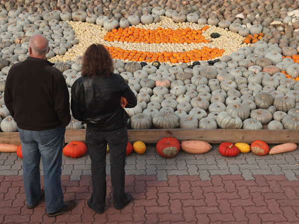 BEELITZ, GERMANY - OCTOBER 09: Visitors look at pumpkins arranged in a sea-themed exhibit at the Buschmann and Winkelmann pumpkin farm on October 9, 2011 in Beelitz, Germany. (GETTY)