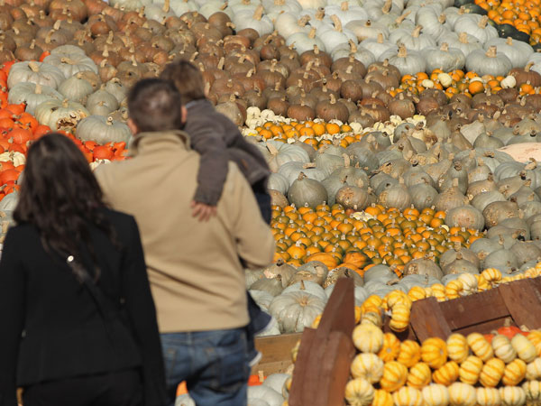 BEELITZ, GERMANY - OCTOBER 09: Visitors look at pumpkins arranged in an exhibit at the Buschmann and Winkelmann pumpkin farm on October 9, 2011 in Beelitz, Germany. (GETTY)