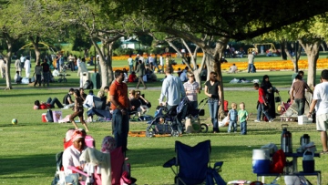 Photo: ${params.title}