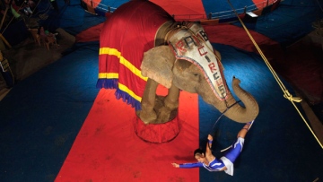 Photo: ${params.title}