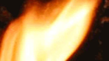 Photo: ${params.title}