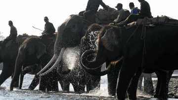 Photo: ${params.title}