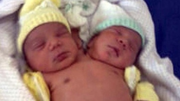 Photo: ${params.title}