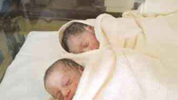 Photo: ${params.title}