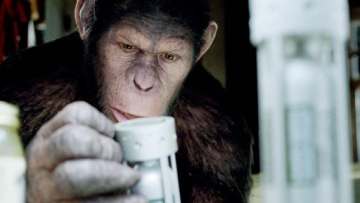 Photo: ${params.title}