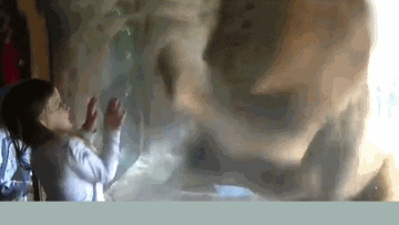 Photo: ${params.title}