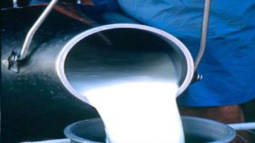 Photo: ${params.title}