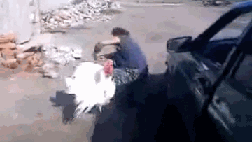 Photo: ${params.title}