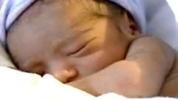 Photo: ${params.title}