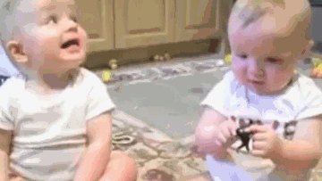 Photo: ${params.title}